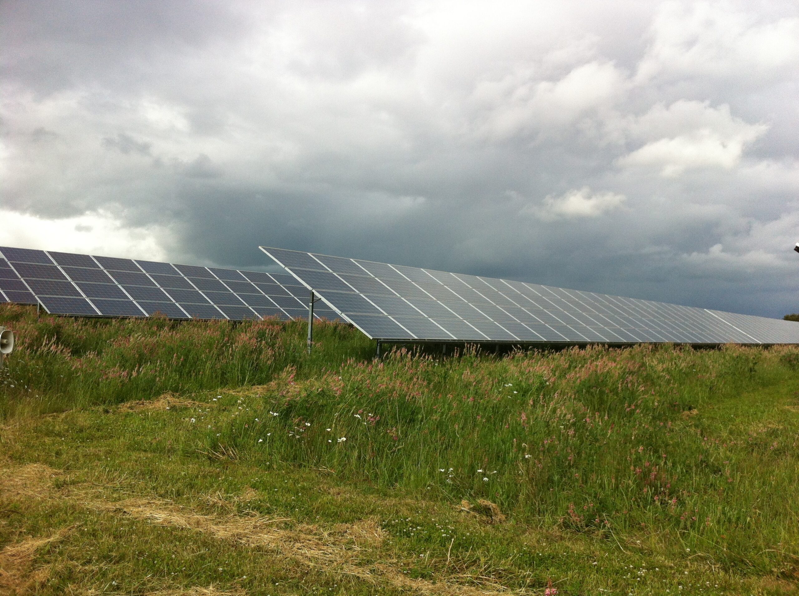 Solar panels at West Mill solar farm